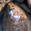 Haut de bikini Mer Scintillante Haut de bikini Mer Scintillante
